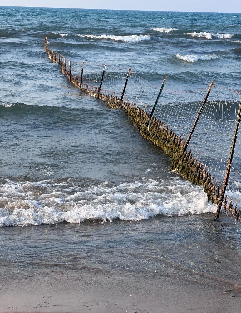 Fence going into the lake with a bunch of algae on it