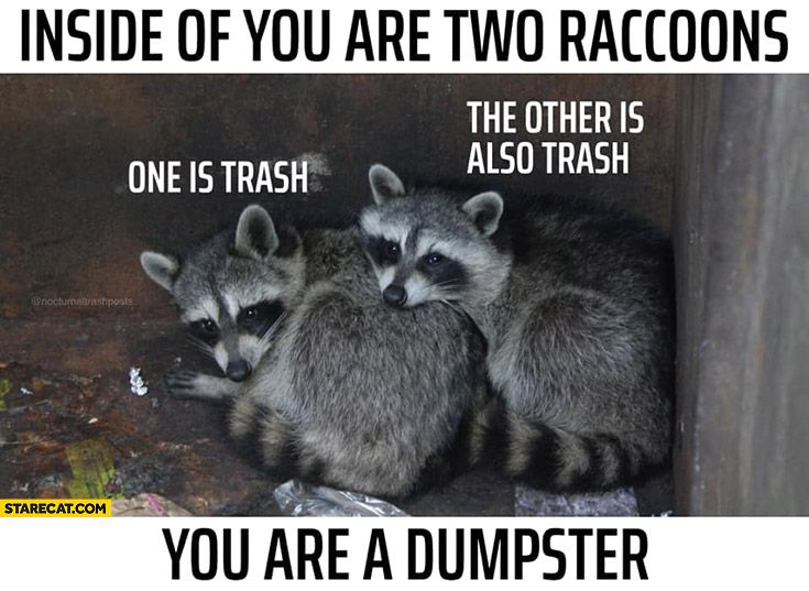Comment image