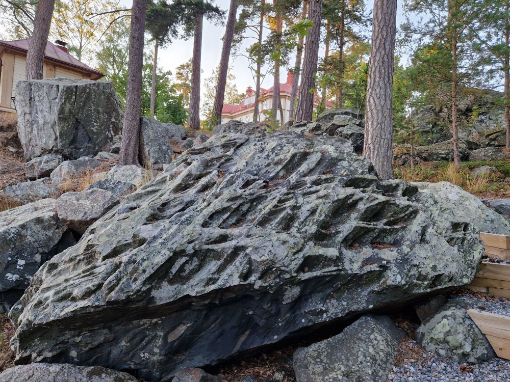 A large triangular and dark grey rock, maybe a metre or two across, with some kind of lines across it, highlighted by light grey lichen. It's on a slope with more ice age rocks and builders behind, and some pine tree trunks.