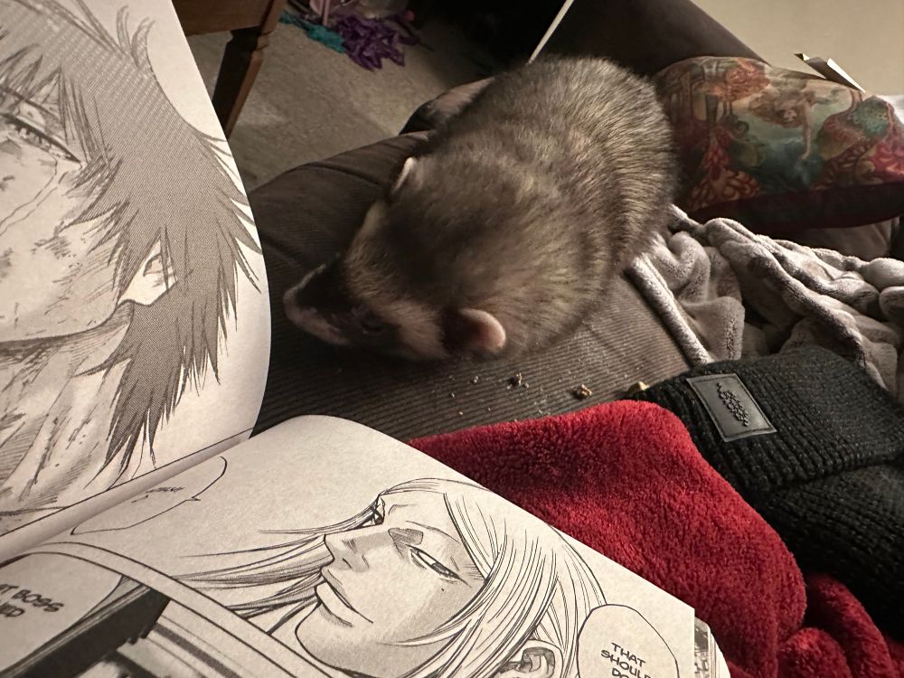 Hanging out on the couch with my ferret 