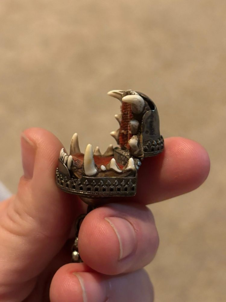 A charivari jaw locket