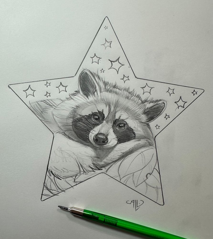 A drawing of a raccoon in a star shape