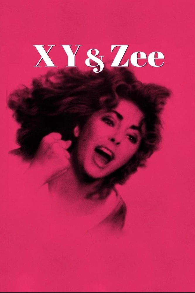 Film poster for 'X,Y & Zee'