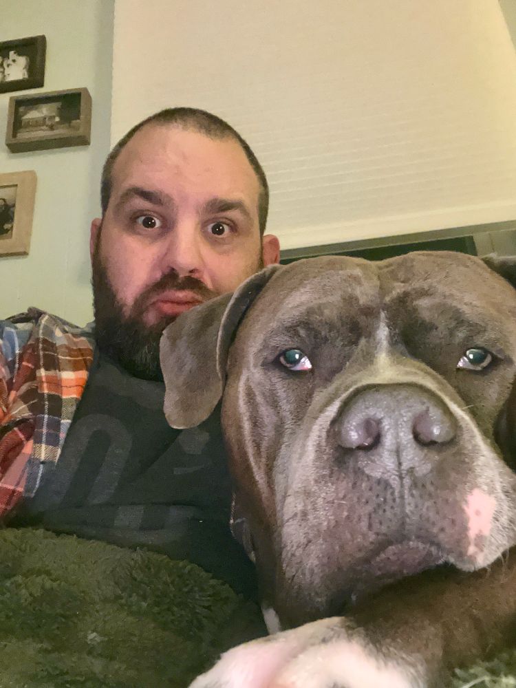 A close-up selfie of a man sitting indoors with a serious expression, accompanied by a large gray dog with a white patch on its nose. The dog is resting its head near the camera, giving an endearing and calm presence. The background features framed pictures on a wall and a window with a closed blind.