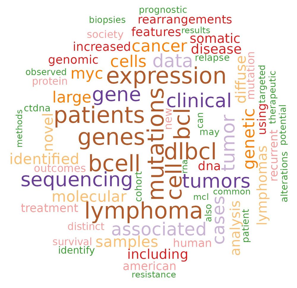 A word cloud
