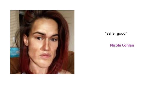 A photo of my avatar saying "asher good"