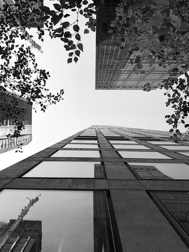 Looking up at a skyscraper with surrounding leaves in Midtown Manhattan, Manhattan, New York.