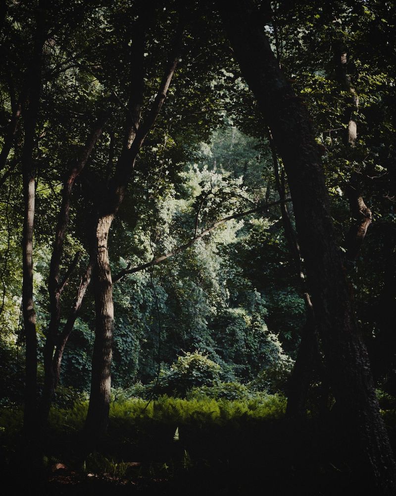 Bay Circuit Trail, Marlborough, Massachusetts