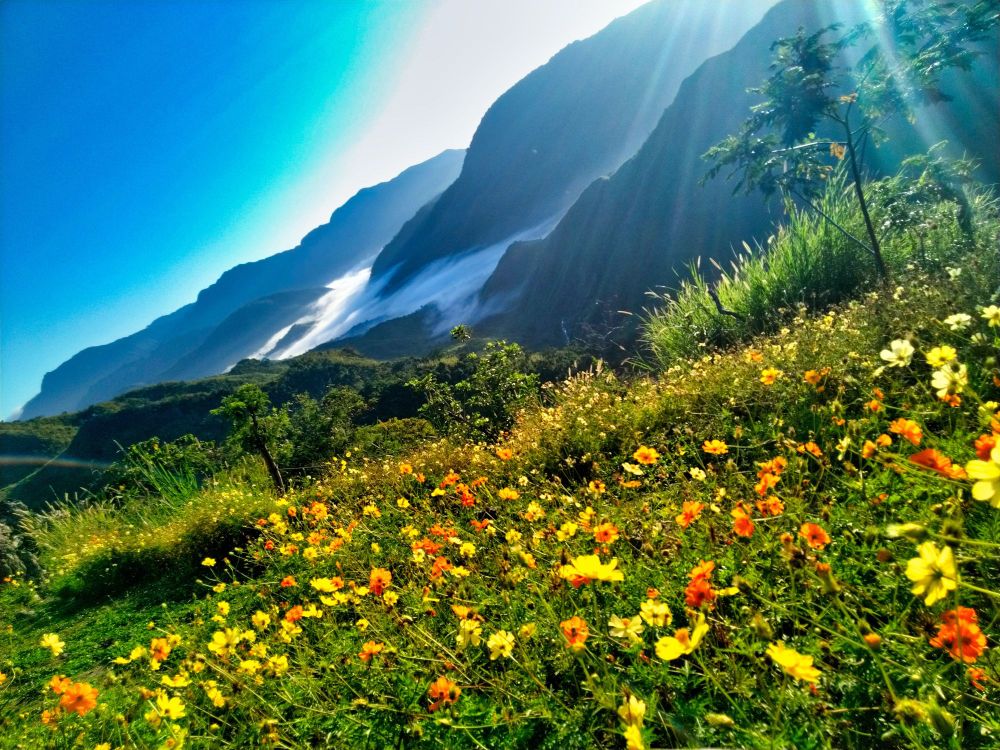 Thanks to Nyran Serito on Unsplash for these orange and yellow mountain flowers, blue skies above.