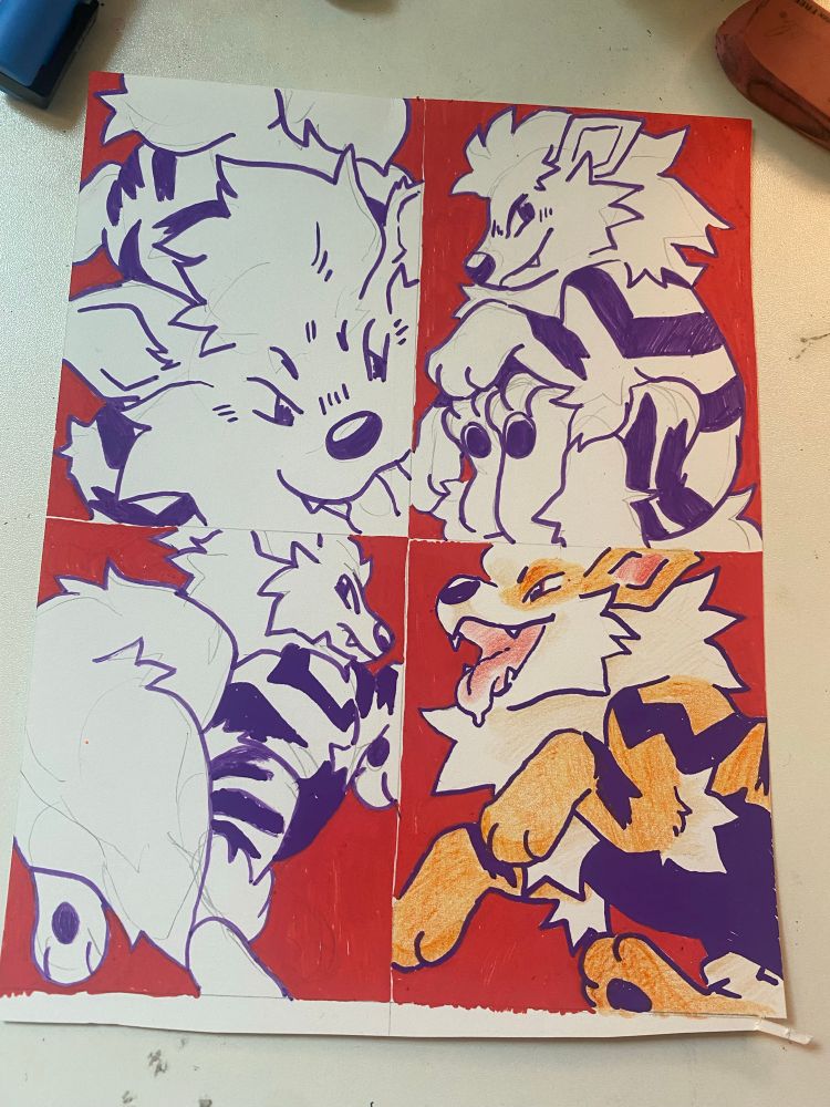 four drawings of arcanine lined in posca, with one colored with colored pencils
