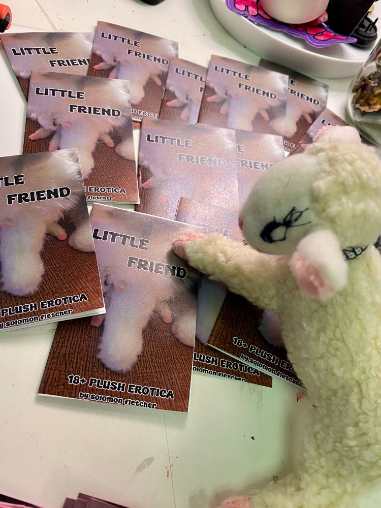 plush lamb looking at a pile of zines featuring photos of himself. Zine text: "Little Friend, 18+ plush erotica by solomon fletcher"