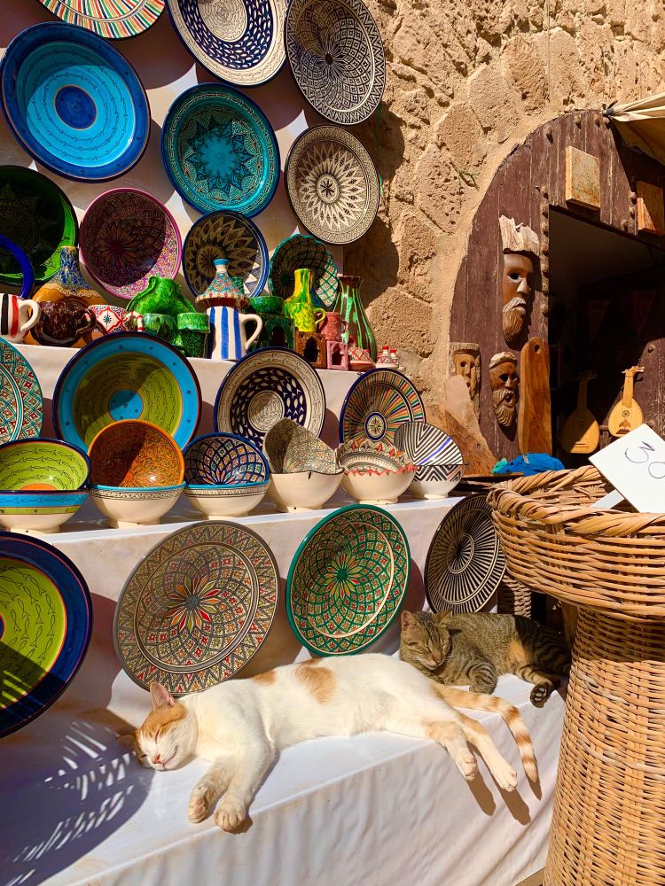 Novembre 2023 - Essaouira