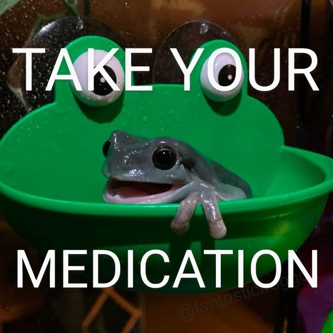 Frog is telling you to take your meds.