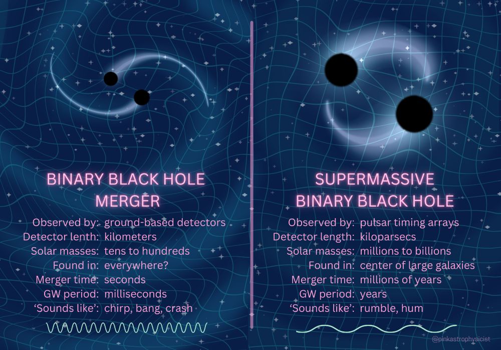 An infographic explaining different black hole mergers. The left side shows two smaller black holes spiralling inwards. The right shows two larger black holes orbiting each other. The text on the left reads: "BINARY BLACK HOLE
MERGER
Observed by: ground-based detectors.
Detector lenth: kilometers
Solar masses: tens to hundreds
Found in: everywhere?
Merger time: seconds
GW period: milliseconds
"Sounds like':) chirp, bang, crash"
The text on the right reads: "SUPERMASSIVE
BINARY BLACK HOLE
Observed by: putsar timing arrays
Detector length: kiloparsecs
Solar masses: millions to billions
Found in? center of large galaxies
Merger time: millions of years*
GW period: years
'Sounds like': rumble, hum"