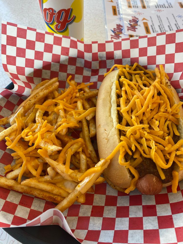 A chili cheese dog and side of cheese fries. 