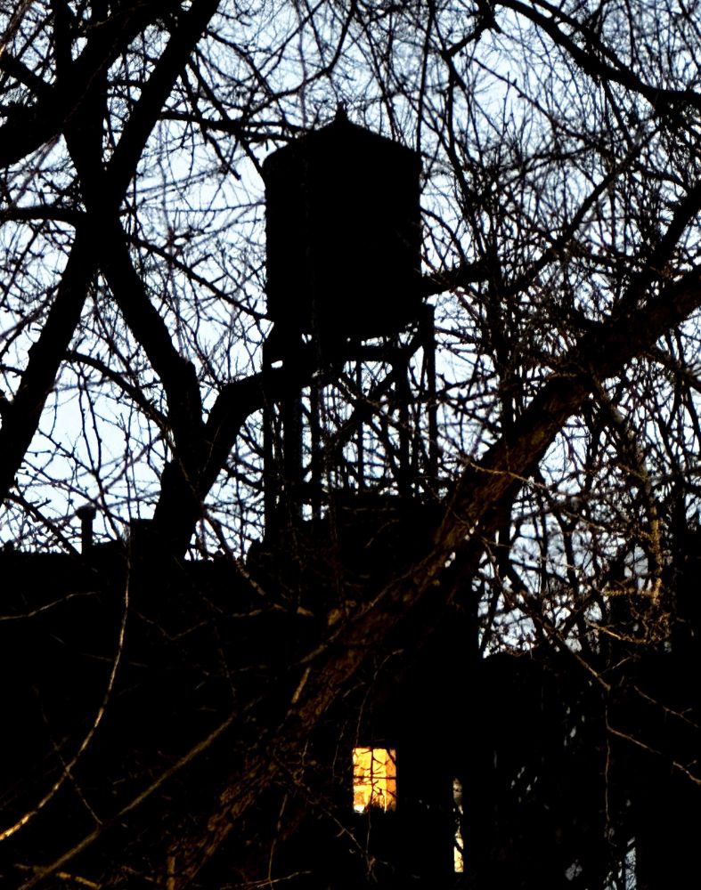Iconic New York roof top water tank in the early morning just before sunrise, on the building below, the light of one window is visible. The whole image is taken through the silhouette of a large tree.
