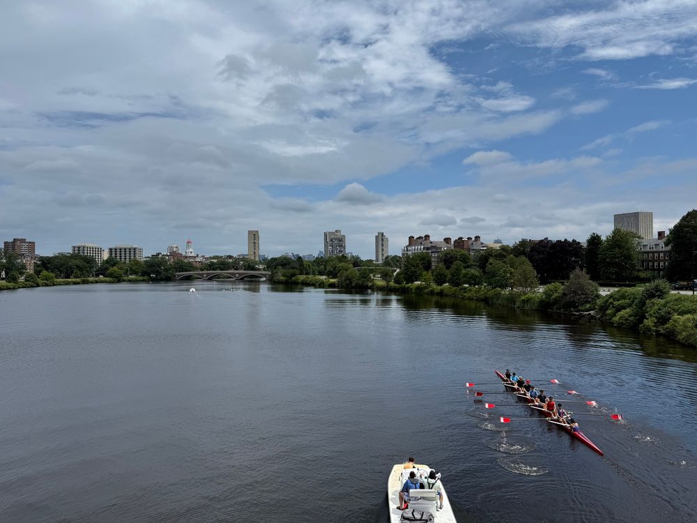 Looking out onto a wide river, with a rowing team with colorful oars rowing away from the viewpoint, with a safety boat coming into the bottom of the frame, also heading away from the viewpoint. The nearest section of riverbank is lined with low trees. There are reflections of trees and buildings under a relatively cloudy sky. 