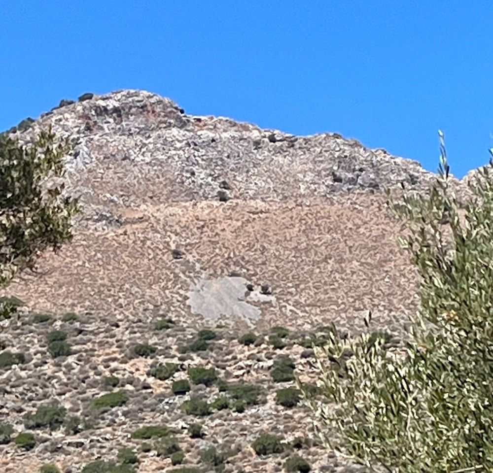 An image of a mountain in Crete where a bare patch of rock and two naturally occurring bushes have created an image similar to the face of Gonzo from The Muppets 