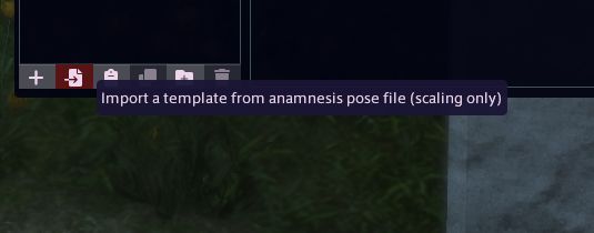 A screenshot of the Customize+ tool, showing the option to import anamnesis pose file templates. 