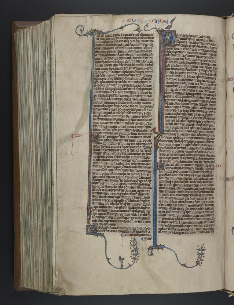 Photo of a manuscript page, with illuminated initials and decorations in the margins. Marginal decoration includes a small rabbit playing a horn in the bottom margin.