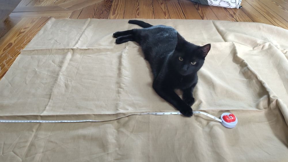 Chat noir vu de dessus allongé sur un tissu beige, il regarde la caméra, désabusé, la patte toujours sur le mettre ruban déroulé. 