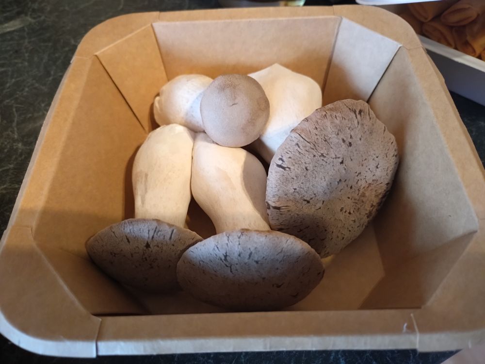 A box of king oyster mushrooms 