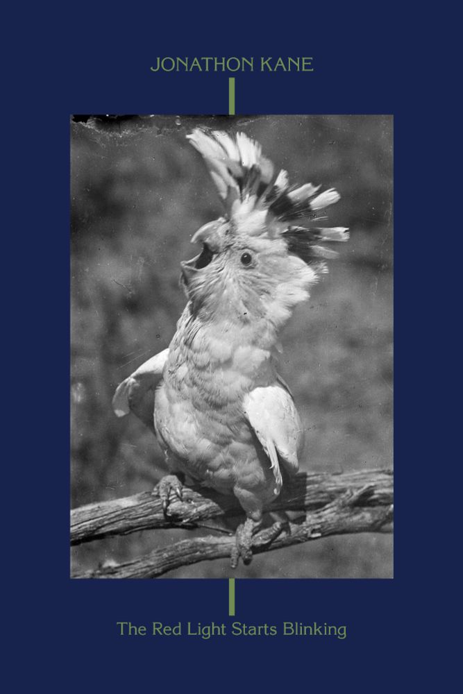 Book cover for The Red Light Starts Blinking by Jonathon Kane