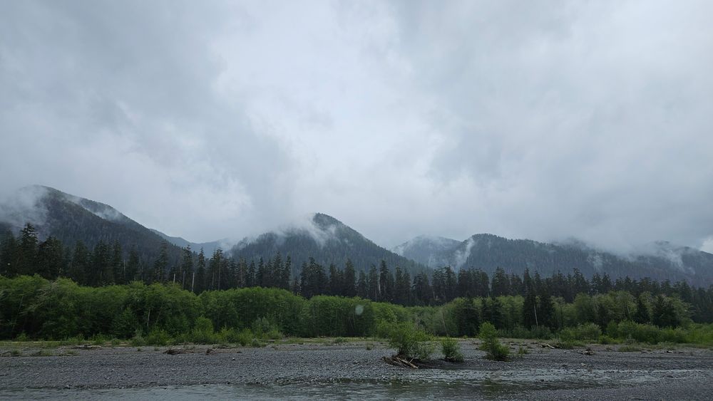 a row of peaks in the Olympics, covered in mist and old growth spruces, cedars, and firs