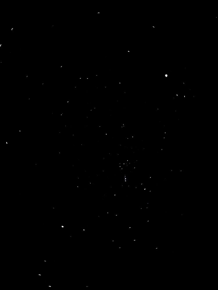 Orion in the night sky. Coordinates 18° N  63° (approximately. Taken from my hammock. 