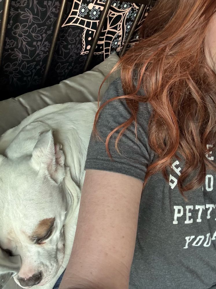 The author’s deaf dog, sleeping 