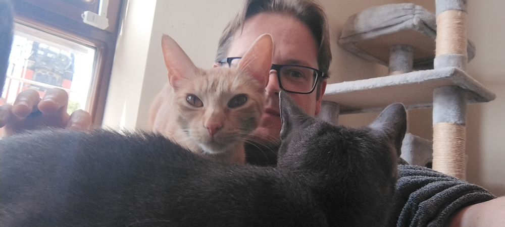 Face of a man (me) in his 40s wearing glasses taking a selfie. His face is partially obscured by two cats climbing over him. The one looking towards the camera is ginger, the one looking away gray.