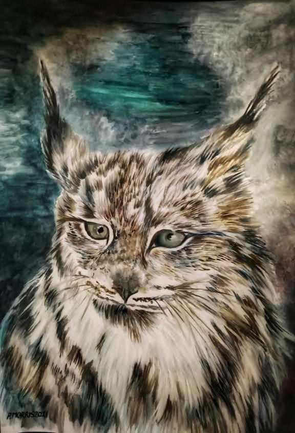 An original watercolour painting of a lynx. It might be available for rehoming - if I remember where it is.