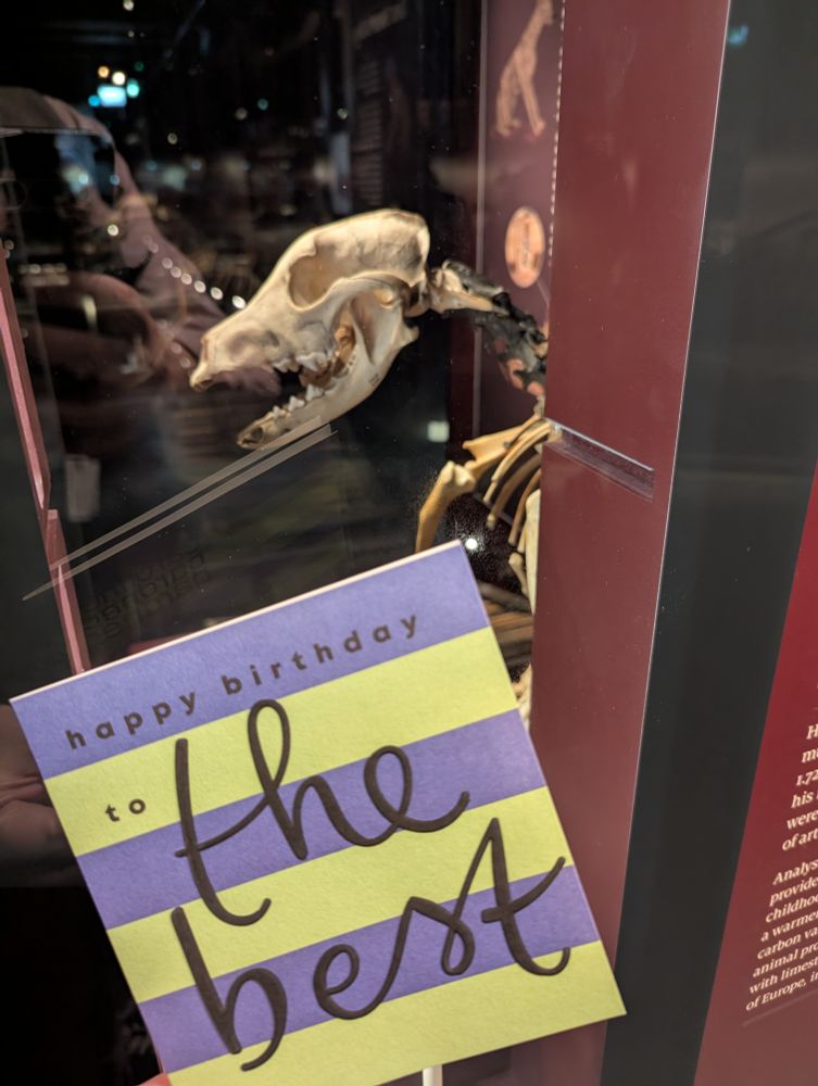 A cute dog skeleton with a birthday card that says "Happy birthday to the best"