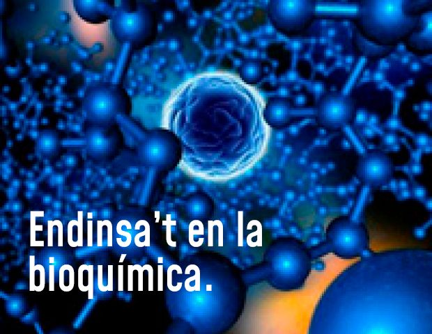 @biologiaub.bsky.social