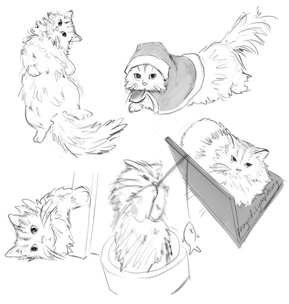 Sketches of a fluffy cat - lying down, in a Santa outfit, on a laptop and playing with a fishing rod