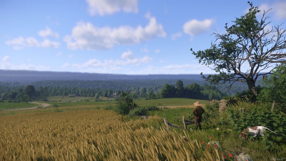 A man taking in the vast countryside. A winding dirt road leading towards forest is visible to the middle-left of the shot, and to the right of it is a small village somewhat hidden amongst trees. Henry's dog "Mutt" is exploring nettles just behind the man.