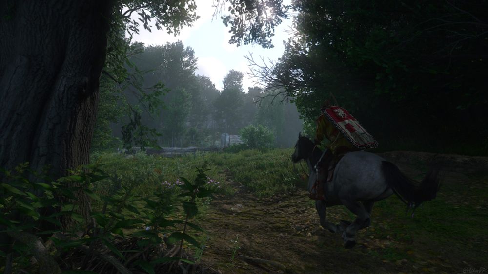 Henry riding his horse (Pebbles) out of a forest towards an animal pen. 