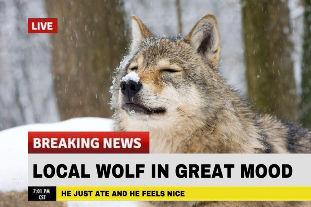 Comment image