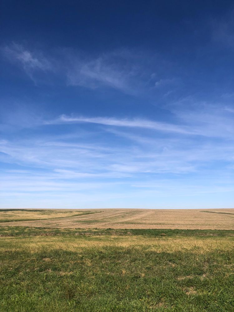 Grass in the foreground with a plowed field behind. Blue sky, with wisps of white clouds.