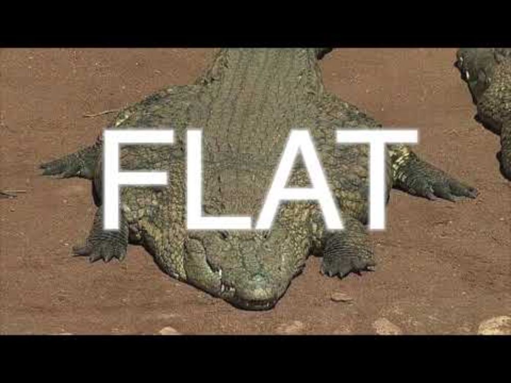 ITS FLAT FUCK FRIDAY YOU FUCKING LOSERS