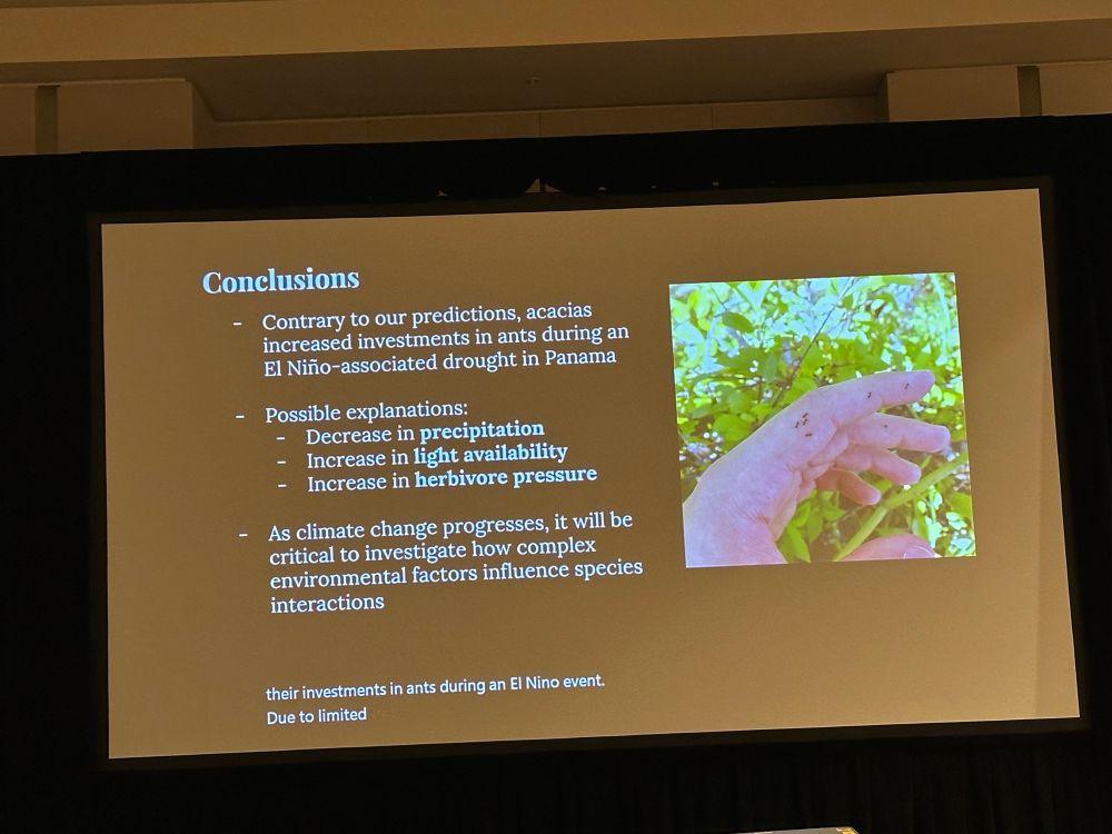 Molina conclusions