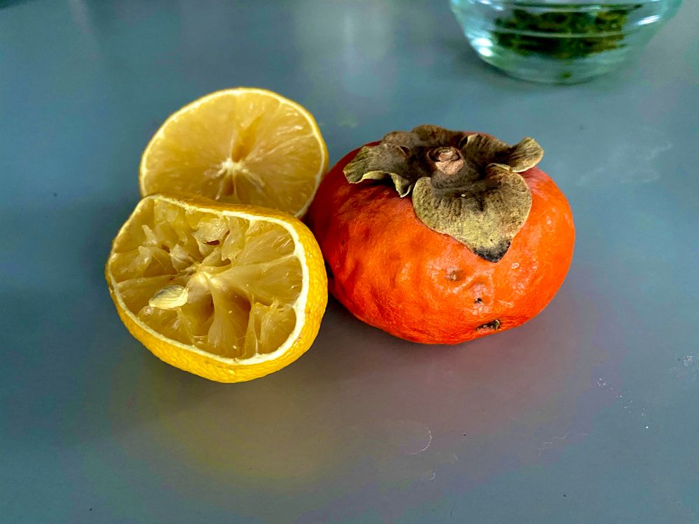 An orange colored persimmon next to a halved lemon. Both are somewhat dried and
a bit worse for the wear.