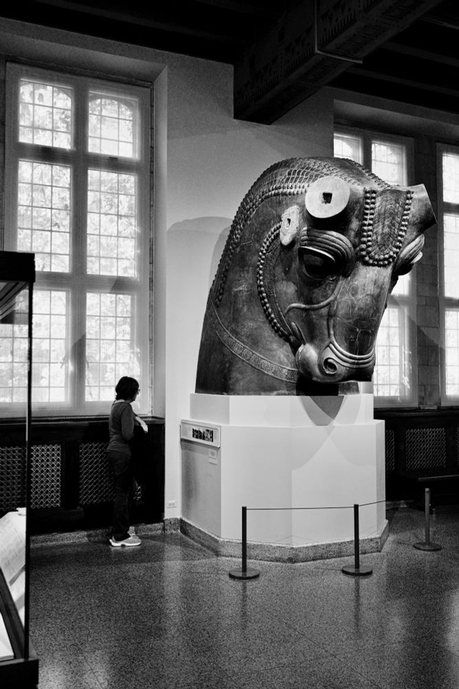 Colossal bull’s head from Persepolis, ~486 bce, one of two that guarded the portico of the Hundred Column Hall there. 

This is a 10-ton, black polished stone sculpture of the head of a bull. It is missing horns and ears which were originally made of different materials and fitted into the prominent sockets on the beast’s head. A person to the left looks at the information display, but also shows the enormous scale of the sculpture - it in s much larger than one adult person in height. 