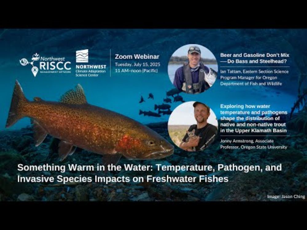 Something warm in the water: Temperature, pathogen, and invasive species impacts on freshwater fish
