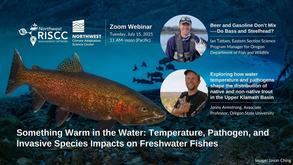 An underwater photo of a rainbow trout surrounded by blue water (image by Jason Ching) serve as the background for white text that says "Something Warm in the Water: Temperature, Pathogen, and Invasive Species Impacts on Freshwater Fishes, Zoom webinar, Tuesday, July 15, 2025, 11 AM–noon (Pacific)." Circular image insets show portraits of the two speakers alongside talk and speaker information, as follows: "Beer and Gasoline Don't Mix—Do Bass and Steelhead? Ian Tattam, Eastern Section Science Program Manager for Oregon Department of Fish & Wildlife" and "Exploring how water temperature and pathogens shape the distribution of native and non-native trout in the Upper Klamath Basin, Jonny Armstrong, Associate Professor, Oregon State University." Also included, in white, are the logos for the Northwest RISCC Management Network & Northwest Climate Adaptation Science Cente.