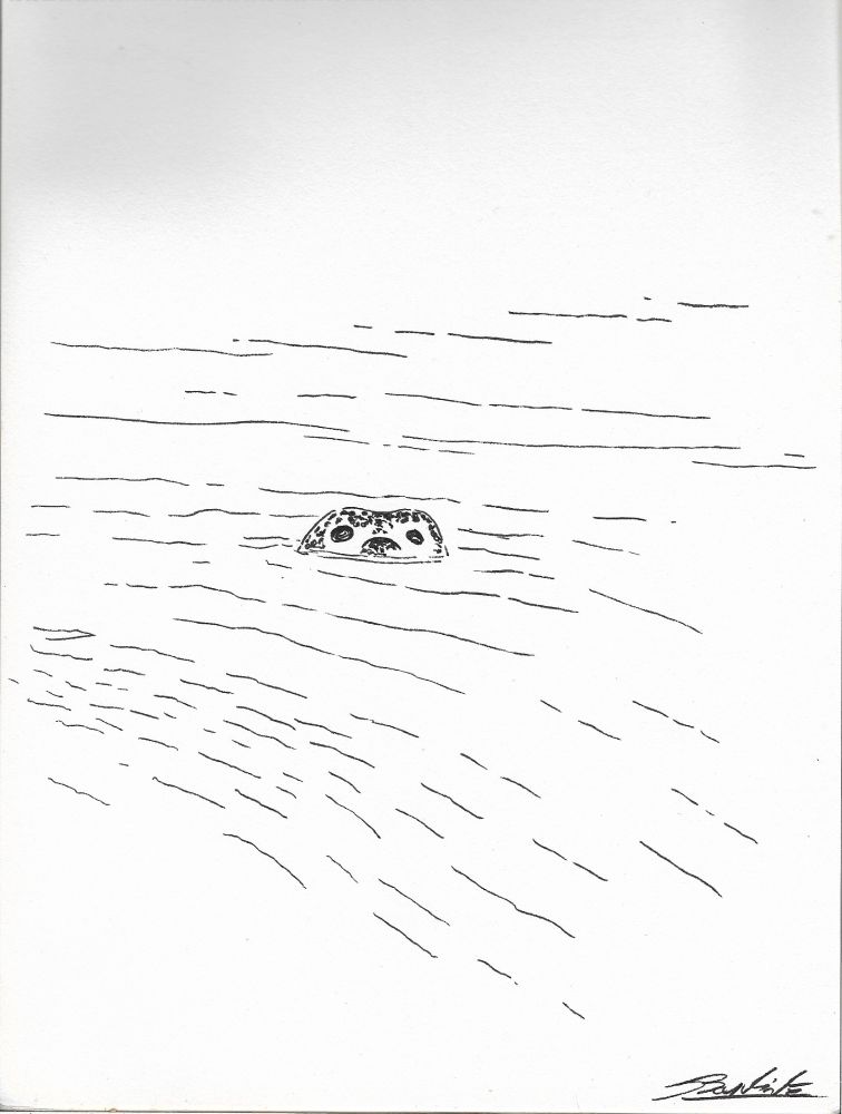 Une tête dans l'eau II, 2025, feutre sur papier, 29,7 x 21 cm