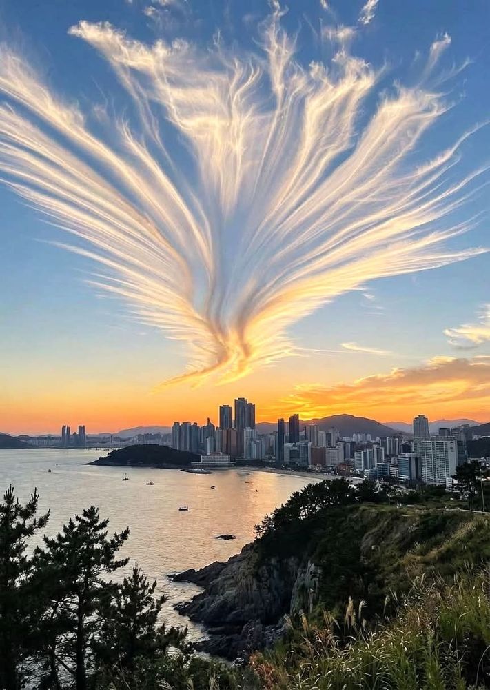 The most beautiful clouds I have ever seen 🌥 

🔥 Busan, South Korea just witnessed a sky that looked straight out of a myth! 🇰🇷✨

This unbelievable cloud formation exploded above the coastline at sunset, fanning out like a fiery phoenix rising over the city. The colors, the shape, the timing — everything aligned for a once-in-a-lifetime moment.

Perfectly framed by the rugged cliffs and twisted pines of Igidae Coastal Park, it felt less like weather and more like the sky painting its own masterpiece.

Nature flexes… and sometimes it flexes hard. 🌅🔥