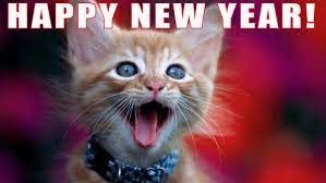 Small orange kitten wearing a collar has mouth wide open, Happy New Year written above his head