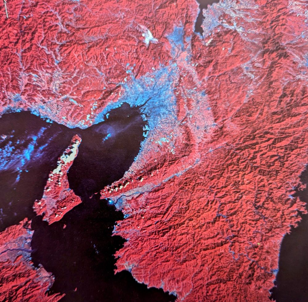 False color image of Osaka. 