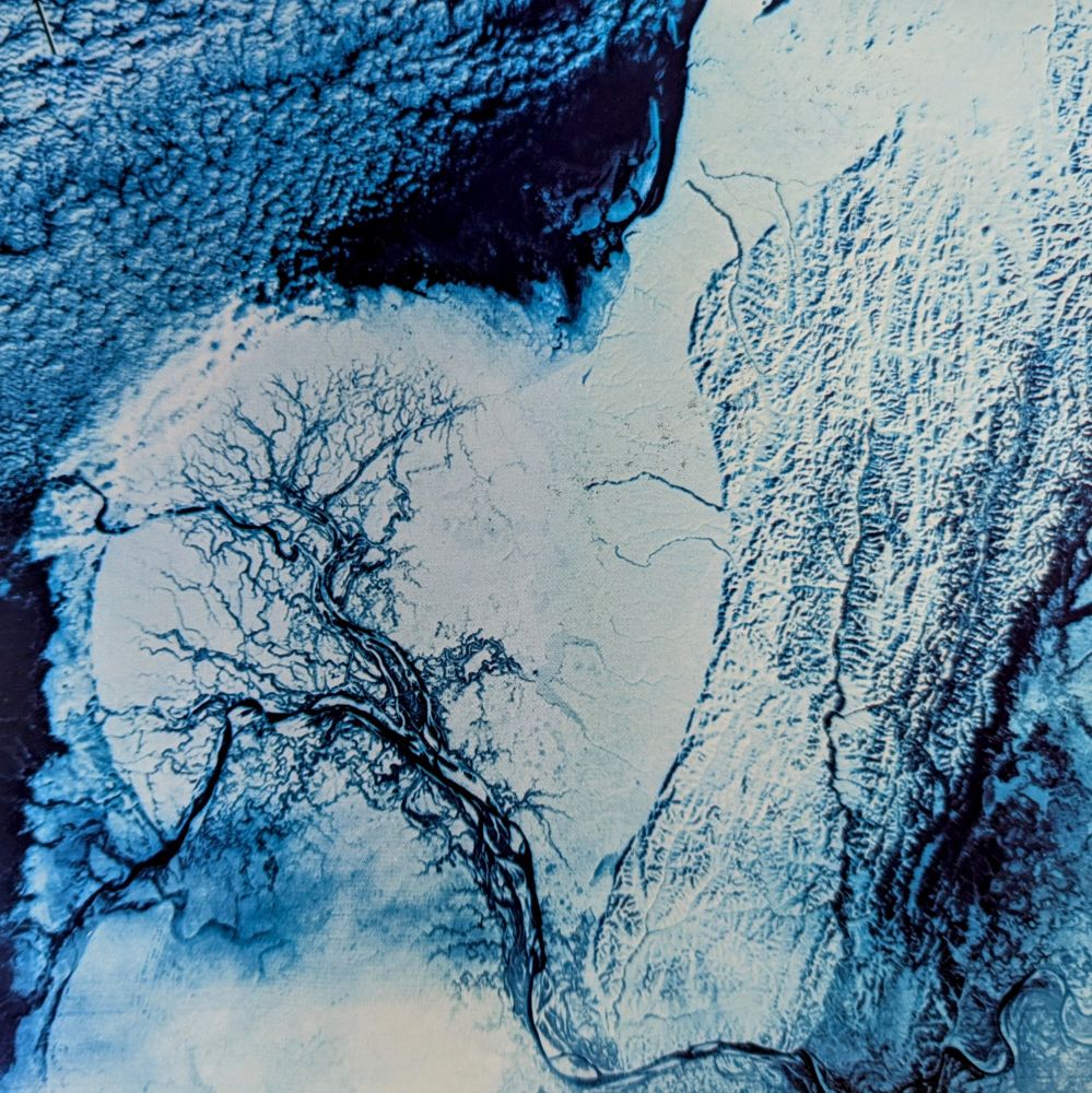 Landsat false color image showing ice and black rivers. 